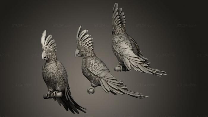 Bird figurines (parrot cacadu, STKB_0056) 3D models for cnc